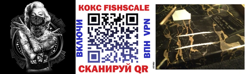 сколько стоит  Димитровград  COCAIN FishScale 