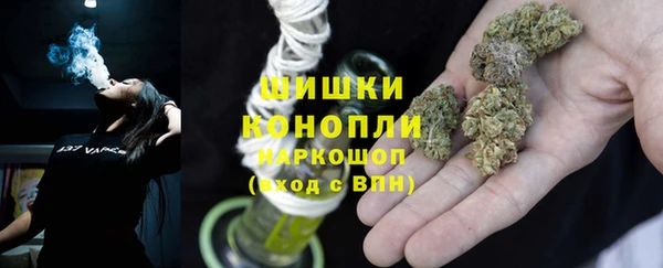 молекула духа Алзамай