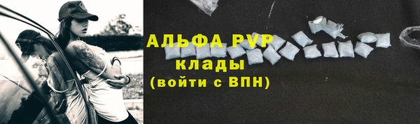 СК Каменка