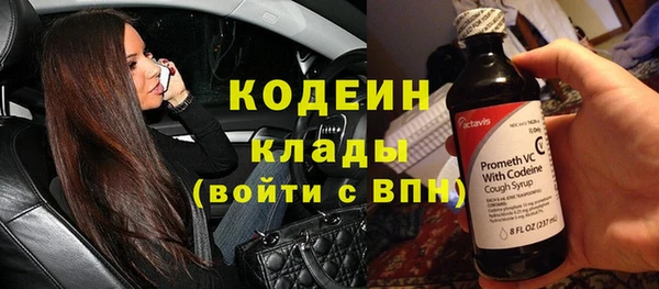 молекула духа Алзамай
