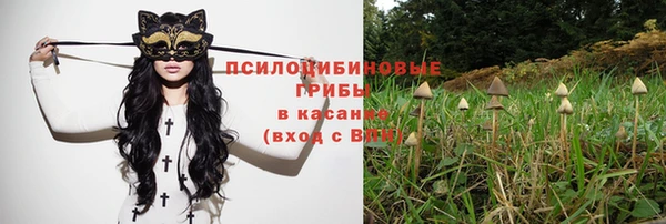 прущий лед Алексеевка