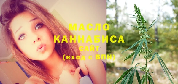шишки Каменногорск